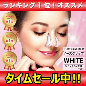 ノーズアップ ノーズクリップ 美鼻 ノーズアップピン