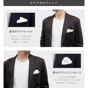 〈選べる2タイプ〉ポケットチーフ \1,650...の詳細画像3