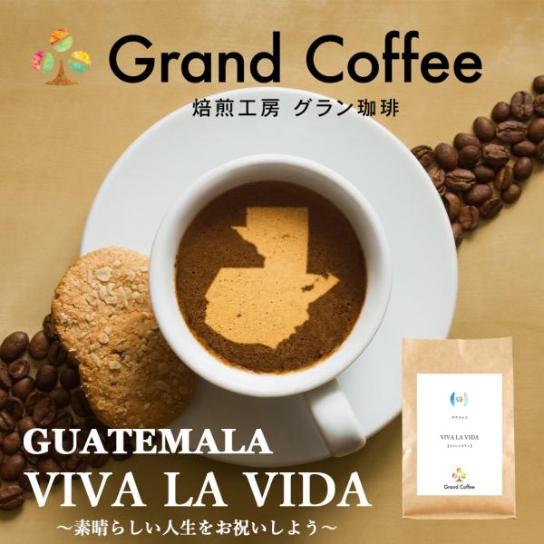 コーヒー コーヒー豆 珈琲 珈琲豆 スペシャルティコーヒー 自家焙煎 グラン珈琲 グアテマラ VIV...