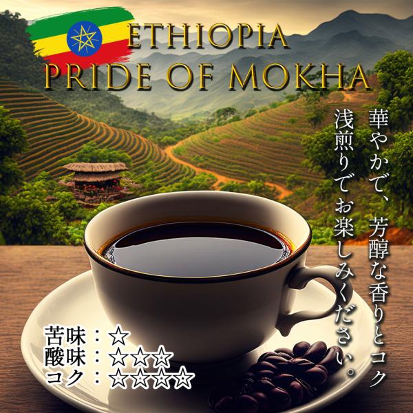 コーヒー 珈琲 珈琲豆 コーヒー豆 自家焙煎 コーヒ- グラン珈琲 エチオピア プライドオブモカ 1...