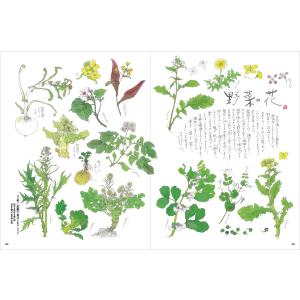 Grandeひろしま Vol.44 春号の詳細画像3