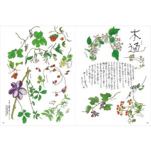 Grandeひろしま Vol.50 秋号の詳細画像2