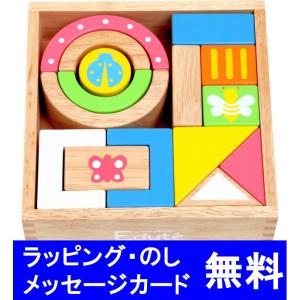 エド・インター（Ed・Inter） 音いっぱいつみき 音の出る 積み木 出産