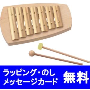 SONOR ゾノア社 グロッケンシュピール NG-30 19音 楽器 知育 玩具 名入れ・ラッピング無料】 鉄琴 おもちゃ 楽器 二段メタルフォン 名