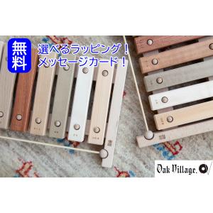 BECK (ベック社) 木のおもちゃ クネクネバーン スロープおもちゃ