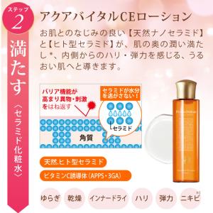 トライアルセット 4点 ビタミンC 化粧水 化...の詳細画像3