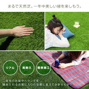 【春色】リアル 人工芝 ロール タイプ 1m×...の詳細画像2