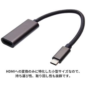 【並行輸入品】 USB Type-C to H...の詳細画像2