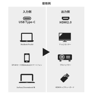 【並行輸入品】 USB Type-C to H...の詳細画像3