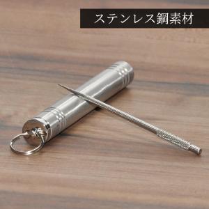 爪楊枝 HOTLIX Toothpix ホットリックス つまようじ 爪楊枝 ミント シナモン