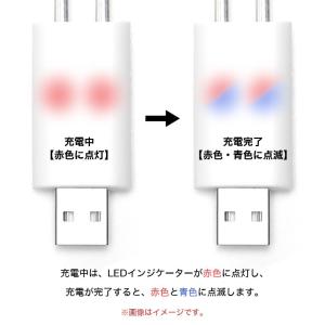 2穴充電 電気ウキ USB充電器 CR425 ...の詳細画像2