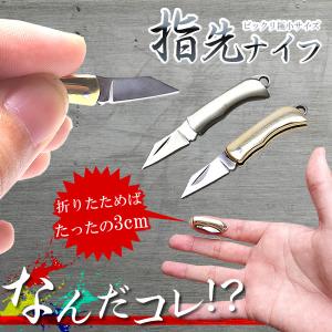 超小型 ナイフ ミニナイフ 折りたたみ式 コンパクト キャンプ 釣り｜grandiose