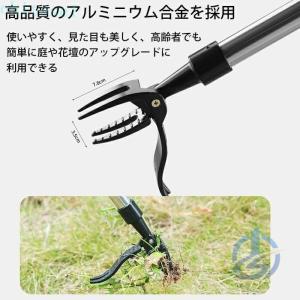 草取り 立ったまま 草抜き 手動 道具 除草 ...の詳細画像5