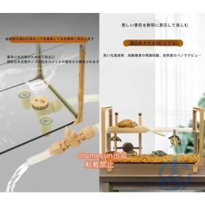 ケース 亀水槽大きいガラスボックスカメの水槽タ...の詳細画像5