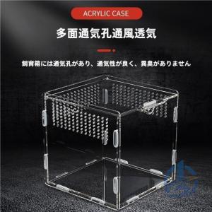 爬虫類 両生類 飼育 ケース 容器 透明 小動物 ケージ サイズ 複数 給餌 アクリル 隔離 ボックス ioso カバー スライド 通気 ペット用品 毎日のお手入れ 快適
