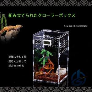 爬虫類 両生類 飼育 ケース 容器 透明 小動...の詳細画像2