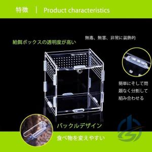 爬虫類 両生類 飼育 ケース 容器 透明 小動...の詳細画像3
