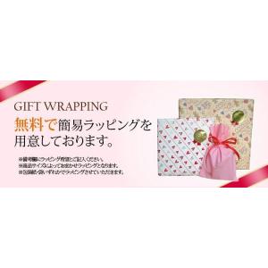 レディースバック マザーズバック ルートート ...の詳細画像5