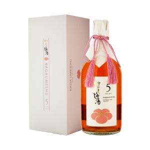 2026年4月】 林 純米吟醸 五百万石 1800ml : 酒のとんだ - 通販