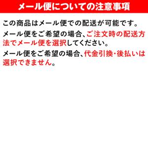 【即日発送可】<メール便対応>ヘルメット ナン...の詳細画像1