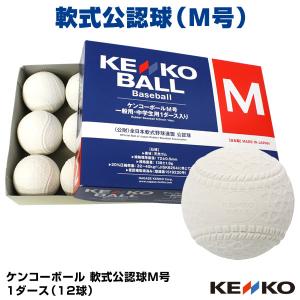 NAGASE KENKO 2ダースでランドリー袋贈呈 ナガセケンコー 軟式球