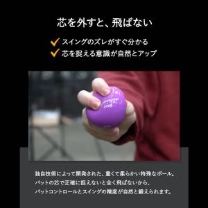 ミニヒッティングプライオ 6個セット ドライブ...の詳細画像4