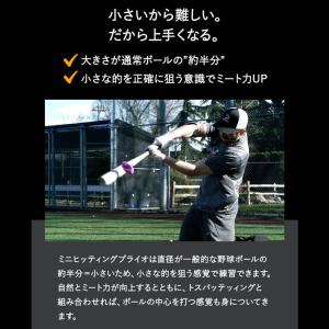 ミニヒッティングプライオ 6個セット ドライブ...の詳細画像5
