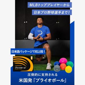 【即日発送可】プライオボール 6個セット ドラ...の詳細画像2