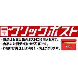 オーブン陶芸 たのしい オーブン陶土 書籍 本...の詳細画像1