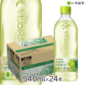 ジョージアカフェ 水 フレーバーウォーター 送料無料 コカ