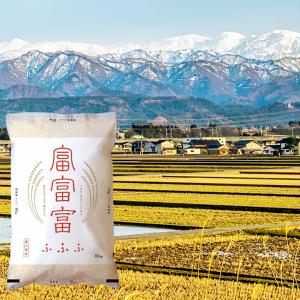 令和7年 10kg 送料無料 富山 富山産 ブ...の詳細画像1