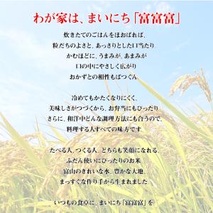 令和7年 10kg 送料無料 富山 富山産 ブ...の詳細画像2