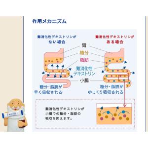 賢者の食卓 ダブルサポート 30包入 2箱 難...の詳細画像3