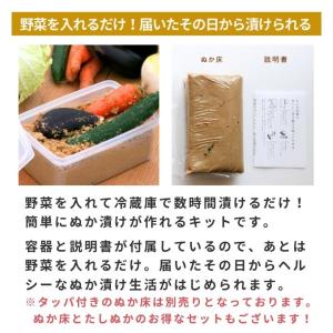 ぬか床 ぬか漬け 金沢大地 わたしのぬか床 補...の詳細画像1