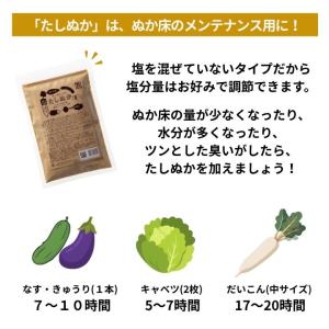 ぬか床 ぬか漬け 金沢大地 わたしのぬか床 補...の詳細画像2