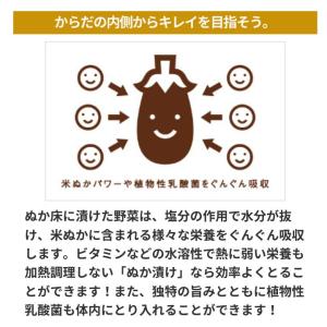ぬか床 ぬか漬け 金沢大地 わたしのぬか床 補...の詳細画像3