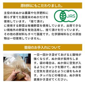 ぬか床 ぬか漬け 金沢大地 わたしのぬか床 補...の詳細画像4