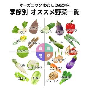 ぬか床 ぬか漬け 金沢大地 わたしのぬか床 補...の詳細画像5