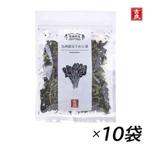 ほうれん草 吉良食品 乾燥野菜 乾燥ほうれん草 九州産ほうれん草 40g×3袋 国産