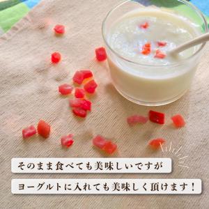 ストロベリーダイス業務用 500g 2袋 大容...の詳細画像3