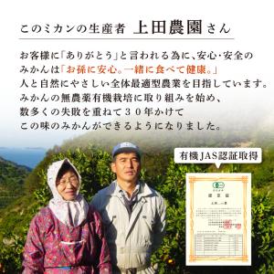 ドライフルーツ みかん ドライみかん うえださ...の詳細画像5