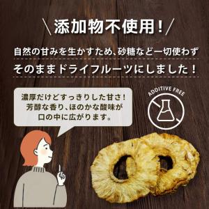 ドライフルーツ ドライパイナップル 30g 1...の詳細画像5