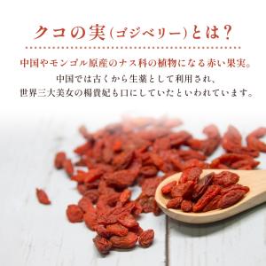 ドライフルーツ クコの実 50g 1袋 無添加...の詳細画像5