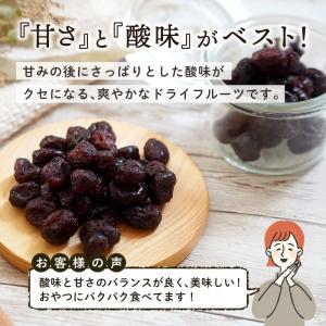 ドライフルーツ クランベリー ドライクランベリ...の詳細画像5