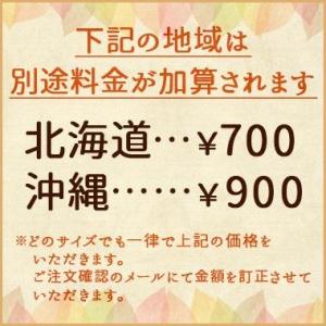 イージーファイバー 30パック入×10個 小林...の詳細画像1