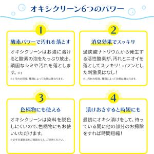 オキシクリーン EX 詰替用 2000g 1個...の詳細画像2