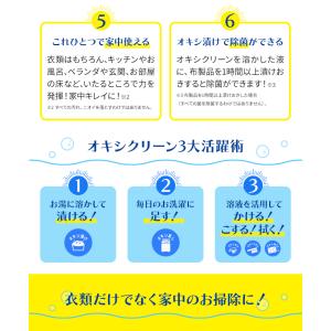 オキシクリーン EX 詰替用 2000g 1個...の詳細画像3