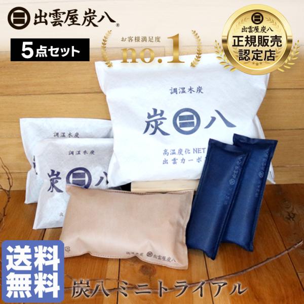 炭八 ミニトライアルセット 5袋 3l タンス用 炭八ミニ 一重小袋 お試し トライアル 除湿剤 結...