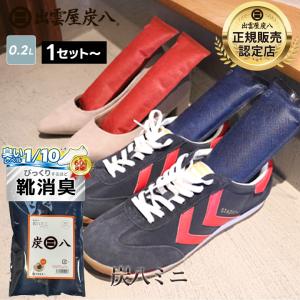 炭八ミニ 2本セット 繰り返し使える除湿剤 除湿対策 湿気対策 湿度 湿気取り 除湿 結露 結露防止 正規店 爆買