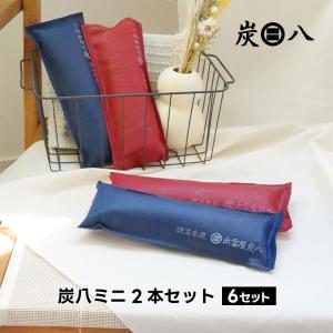 炭八ミニ 2本セット 6セット 靴用除湿剤 除湿 靴箱 除湿剤 繰り返し 湿気取り 乾燥剤 出雲屋炭八 半永久 出雲屋 除湿 半永久湿気取り 出雲カーボン テレ東マート